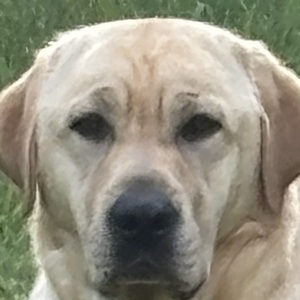 Fundraising Page: Craig Hathaway